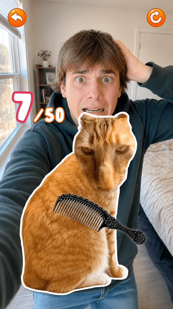 An orange cat with a comb and a 7 out of 50 challenge counter.